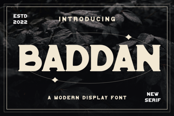 Baddan Font: A Bold Serif That Elevates Small Business Branding