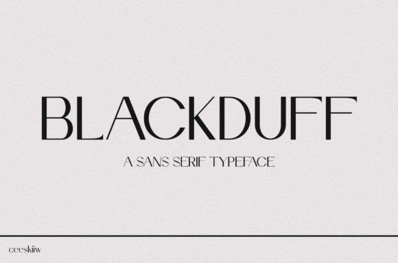 Blackduff: A Stylish Sans Serif Font That Elevates Small Business Branding