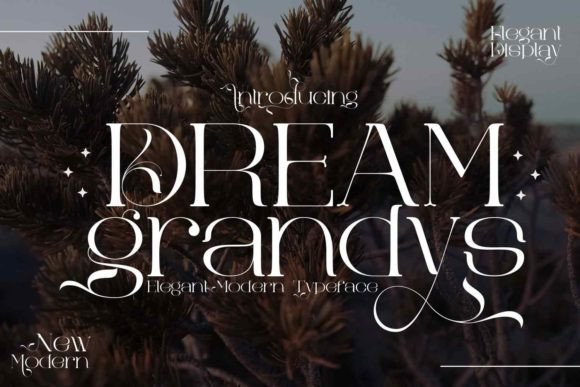 Dream Grandys: The Serif Font That Elevates Digital Marketing Design
