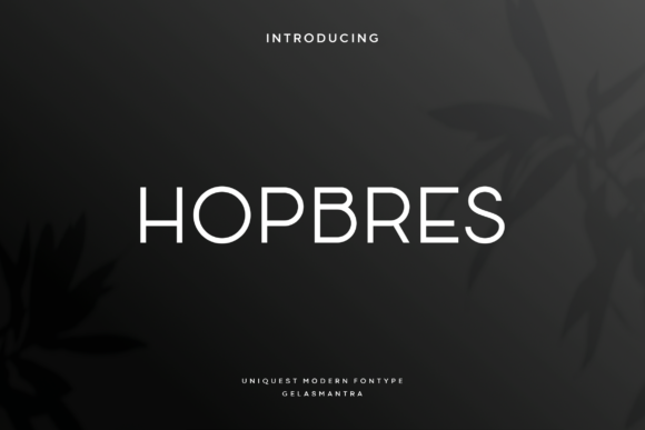 How a Display Font Like Hopbres Can Elevate Your Small Business Brand