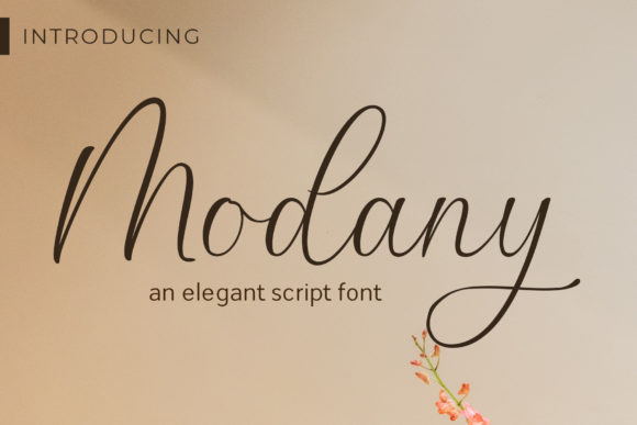 Modany: A Sweet Script Font That Brings Handmade Designs to Life
