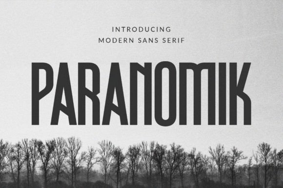 Paranomik: The Sans Serif Typeface That Elevates Campaign Visuals