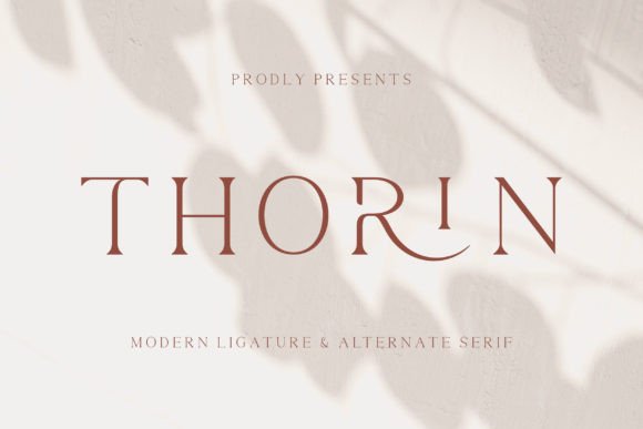 Thorin: A Stylish Serif Font for Modern Web Design Projects