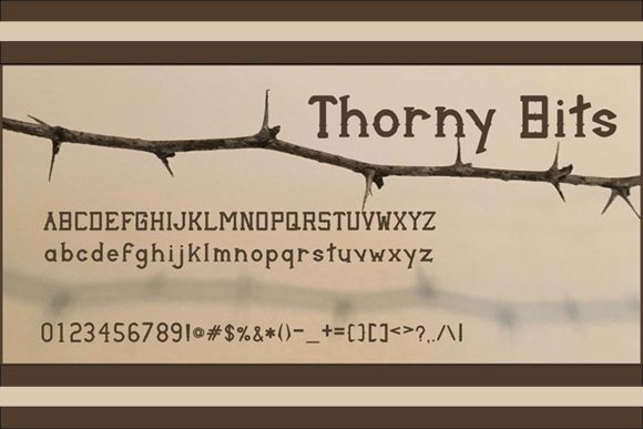 Thorny Bits: A Campaign Designer’s Review of a Playful Serif Font